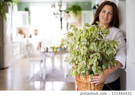 Smiling brunette woman posing with Ficus Benjamin Starlight in wickered pot at white room closeup Smiling brunette woman posing with Ficus Benjamin Starlight in wickered pot at white room closeup 131480432