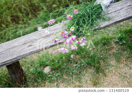 板凳和宇宙 板凳和宇宙 131480529