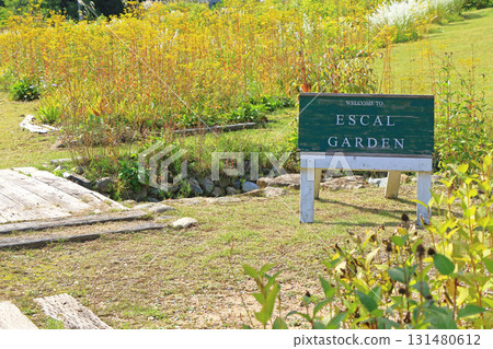 白馬五龍滑雪場的秋季埃斯卡爾花園 白馬五龍滑雪場的秋季埃斯卡爾花園 131480612