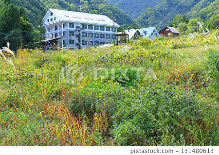 白馬五龍滑雪場的秋季埃斯卡爾花園 白馬五龍滑雪場的秋季埃斯卡爾花園 131480613