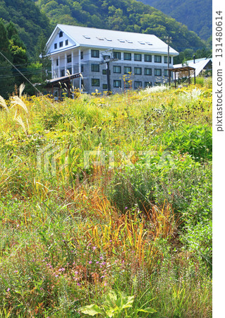白馬五龍滑雪場的秋季埃斯卡爾花園 白馬五龍滑雪場的秋季埃斯卡爾花園 131480614