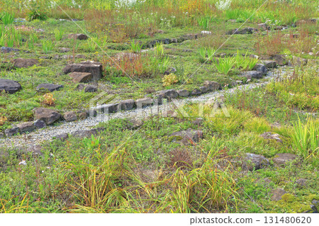 白馬五龍滑雪場的秋季埃斯卡爾花園 白馬五龍滑雪場的秋季埃斯卡爾花園 131480620