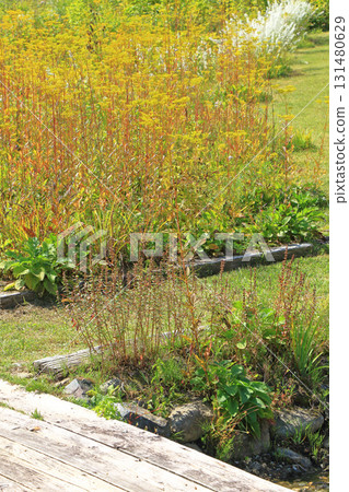 Escal Garden in Autumn at Hakuba Goryu Ski Resort 131480629