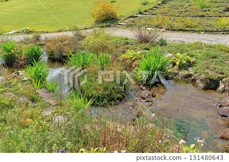 白馬五龍滑雪場的秋季埃斯卡爾花園 白馬五龍滑雪場的秋季埃斯卡爾花園 131480643