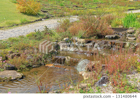 白馬五龍滑雪場的秋季埃斯卡爾花園 白馬五龍滑雪場的秋季埃斯卡爾花園 131480644