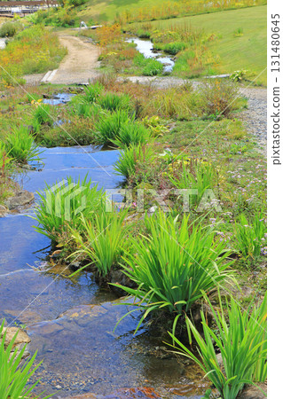 白馬五龍滑雪場的秋季埃斯卡爾花園 131480645