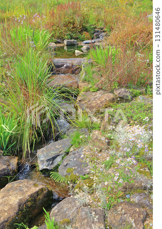 白馬五龍滑雪場的秋季埃斯卡爾花園 白馬五龍滑雪場的秋季埃斯卡爾花園 131480646