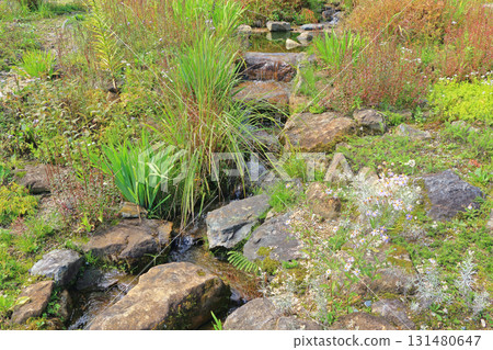 Escal Garden in Autumn at Hakuba Goryu Ski Resort 131480647
