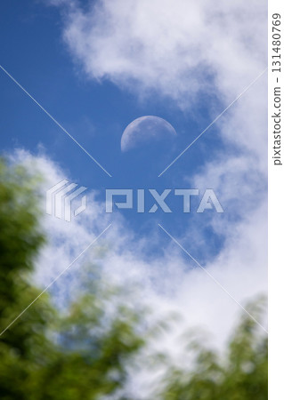 月亮月亮 131480769