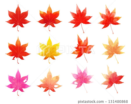 Illustration of autumn leaves painted in watercolor Illustration of autumn leaves painted in watercolor 131480868