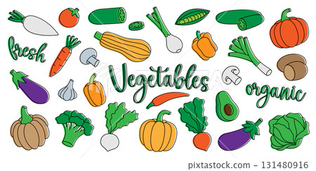 Vegetables set. Fresh raw vegetables. Organic foods design for food market, ecommerce, products promotion. Healthy eating. Vector illustration. 131480916
