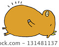 A cow lying down with a full belly 131481137