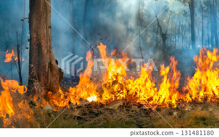 Wildfires release carbon dioxide (CO2) emissions and other greenhouse gases (GHG) that contribute to climate change. Wildfires release carbon dioxide (CO2) emissions and other greenhouse gases (GHG) that contribute to climate change. 131481180