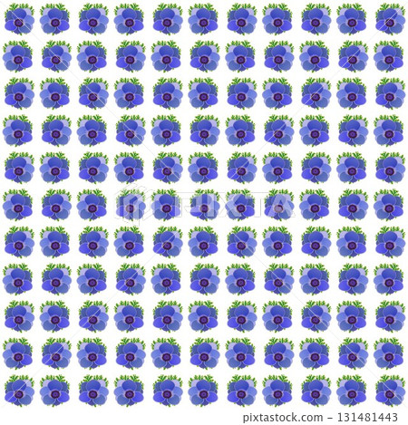 Anemone flower wallpaper illustration Anemone flower wallpaper illustration 131481443