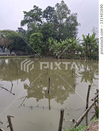 A serene pond reflects lush green trees and vegetation under a cloudy sky, creating a peaceful natural landscape 131481690