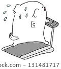 Dog running on a treadmill 131481717