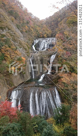 Fukuroda秋天的秋天 131482021
