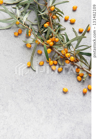 Sea buckthorn berry branch with copy space Sea buckthorn berry branch with copy space 131482109