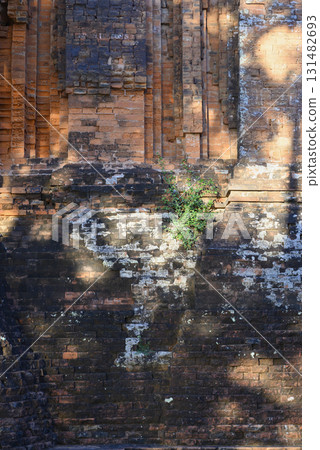 Tropical plant on the brickwork of ancient sacred Cham Tower of the 12th century Tuy Hoa, Vietnam 131482693
