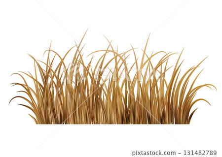 Dry brown grass. Yellow dead field plants on meadow. Prairie scene isolated on white background. Autumn realistic farm vegetation. Dry brown grass. Yellow dead field plants on meadow. Prairie scene isolated on white background. Autumn realistic farm vegetation. 131482789