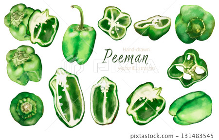 甜椒的水彩向量插圖 131483545