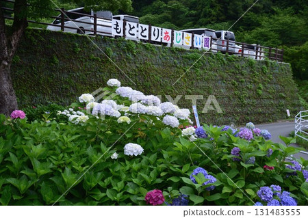 本取繡球園 本取繡球園 131483555