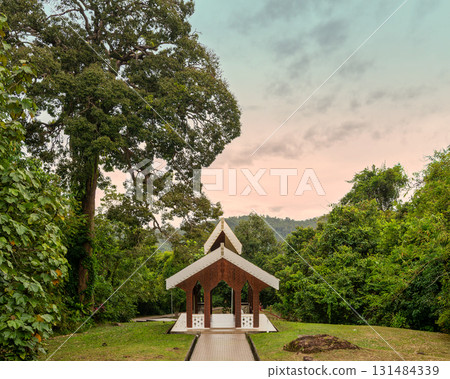 Mausoleum of Sultan Sharif Ali, a historical landmark amidst tropical greenery, Bandar Seri Begawan, Brunei Mausoleum of Sultan Sharif Ali, a historical landmark amidst tropical greenery, Bandar Seri Begawan, Brunei 131484339