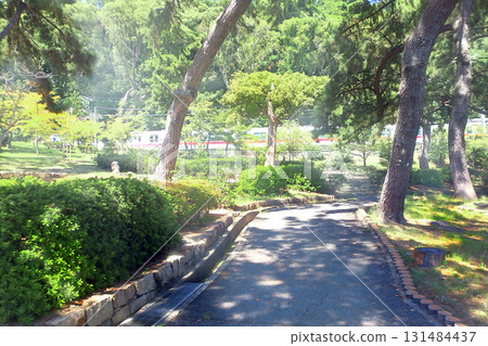 Sumaura Park and Sanyo Electric Railway in late summer [horizontal composition] 131484437