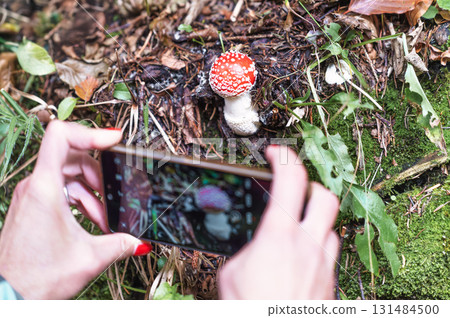 Photographing a poisonous mushroom 131484500