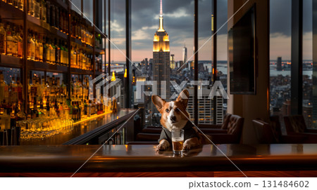 比爾柯基與夜景 131484602