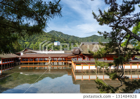 Traditional buildings of Itsukushima shrine in Miyajima, near Hiroshima 131484928