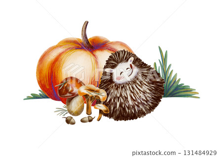 Funny long-eared hedgehog curled up in a ball,pumpkin,mushrooms,grass.Hand-drawn forest character illustration in watercolor and colored pencils,created in a childlike cartoon style Funny long-eared hedgehog curled up in a ball,pumpkin,mushrooms,grass.Hand-drawn forest character illustration in watercolor and colored pencils,created in a childlike cartoon style 131484929