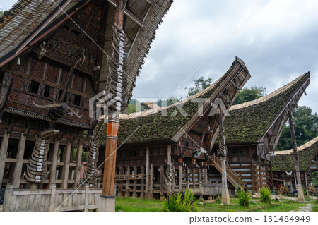 Traditional Toraja houses with buffalo horns, Sulawesi, Indonesia 131484949