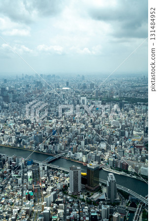 Aerial view of central Tokyo cityscape in Japan 131484952