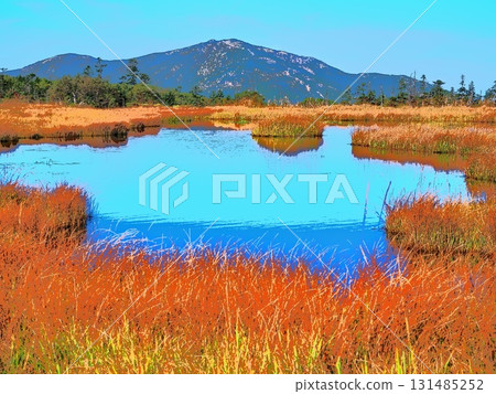 Autumn pond and Mt. Shibutsu (afr20250924074424) Autumn pond and Mt. Shibutsu (afr20250924074424) 131485252