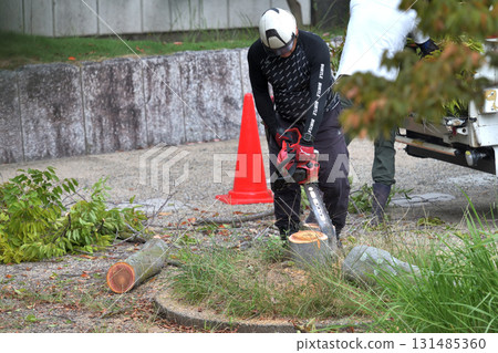 公園樹木管理：砍伐後倒角樹樁 131485360