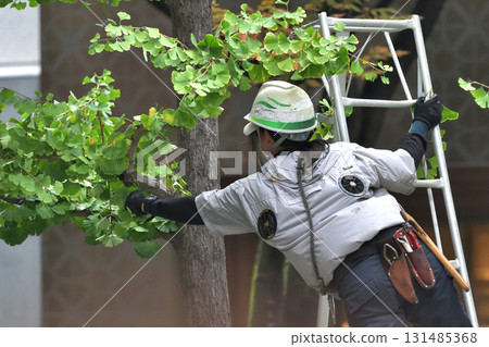 Pruning roadside trees - Gardeners at work 131485368