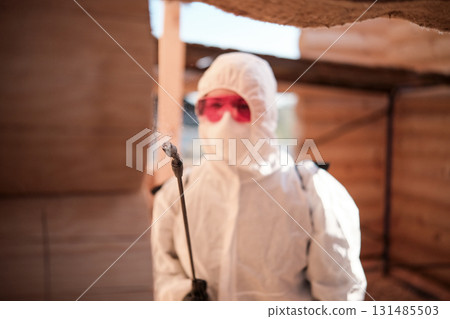 Disinsection of a wooden house Disinsection of a wooden house 131485503
