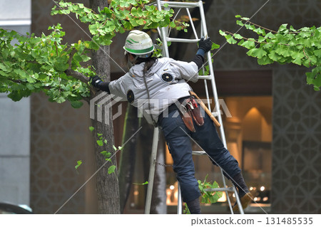 修剪路邊樹木－園丁們在工作 131485535