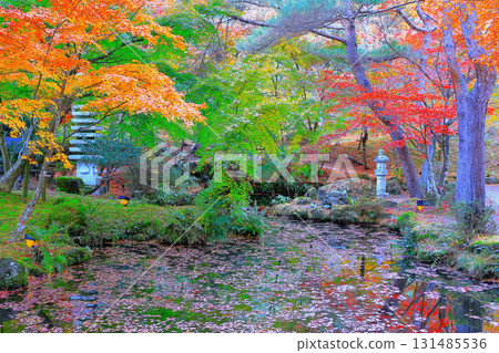 Vivid autumn foliage by the water 131485536