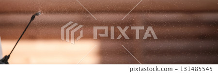 Disinsection of a wooden house 131485545