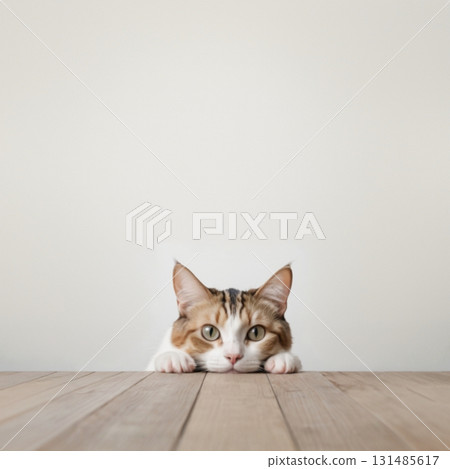 Calico cat peeking across the table 131485617