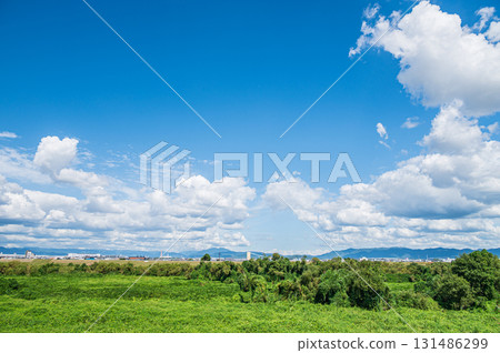 京都府八幡市木津川河床風景 131486299