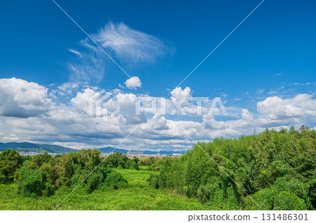 京都府八幡市木津川河床的秋景 京都府八幡市木津川河床的秋景 131486301
