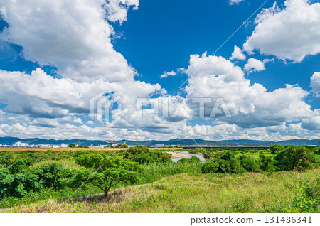京都府八幡市木津川風景 京都府八幡市木津川風景 131486341