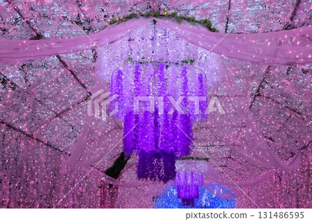 Tokunosu的照明 Tokunosu的照明 131486595