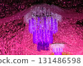 Tokunosu的照明 131486598