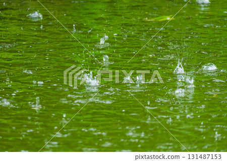 Rainy Day: Raindrops Falling on the Pond 12 Rainy Day: Raindrops Falling on the Pond 12 131487153