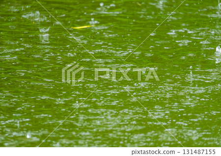 下雨天:池塘裡的雨滴 14 下雨天:池塘裡的雨滴 14 131487155