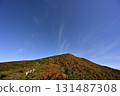 藥師山南側的紅葉 131487308